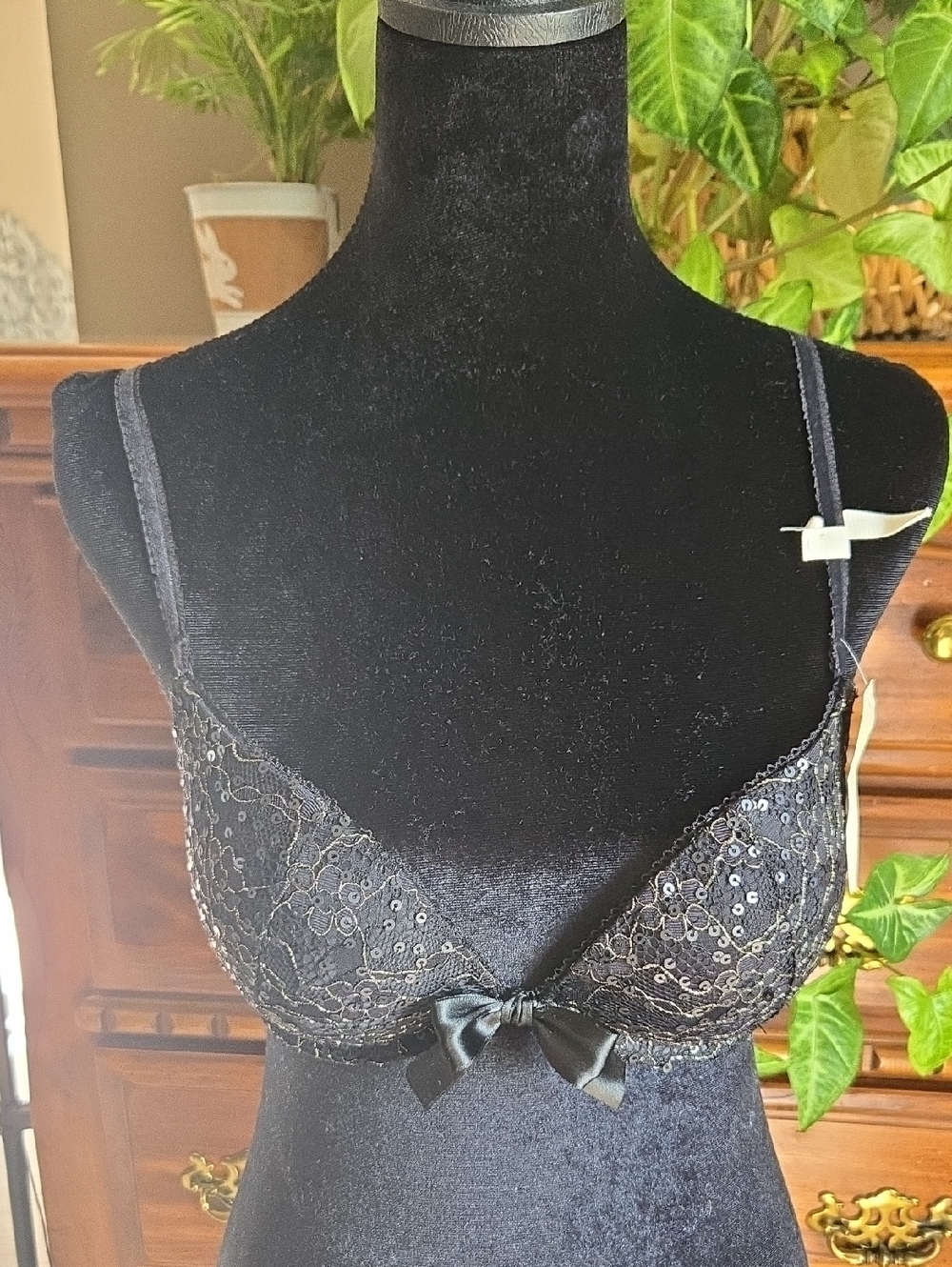 aerie Black Lace Bra with Gold Embroidery